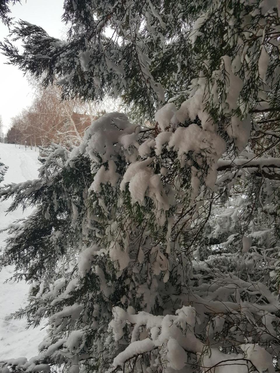 Panska Hata Nyzhnya Khortytsya Exterior foto