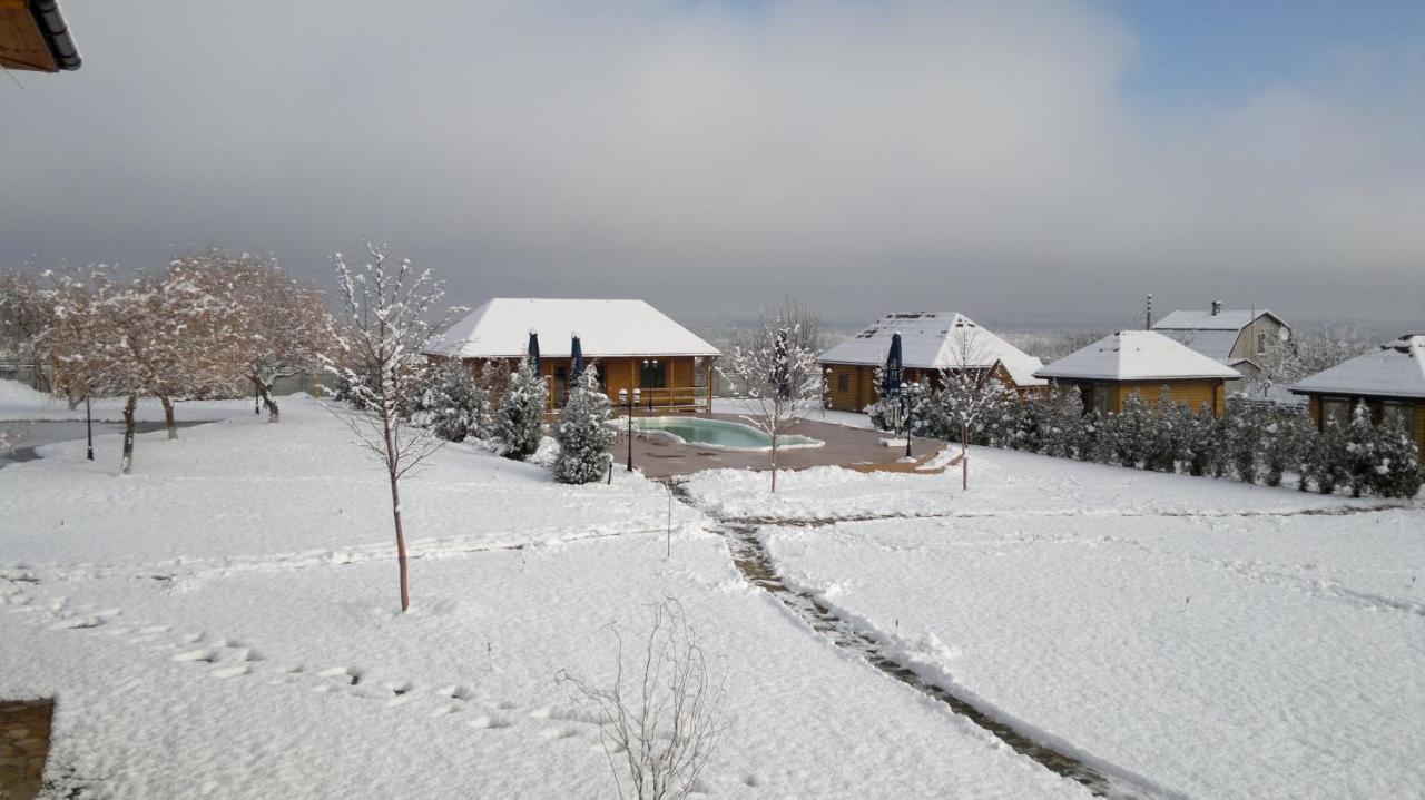 Panska Hata Nyzhnya Khortytsya Exterior foto